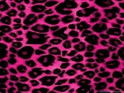 Cheetah Print Wallpapers Desktop Background