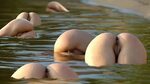 Пизда ракушка (97 фото) - Порно фото голых девушек