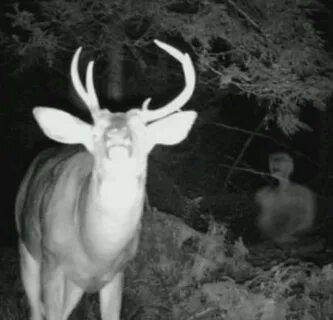 Creepiest Things Ever Captured on Trail Cameras - The Occult