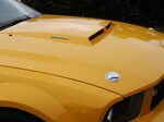 New hood pins ... - The Mustang Source - Ford Mustang Forums