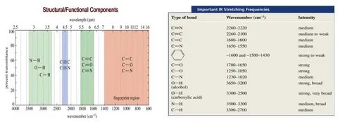 IR SPECTROSCOPY PharmaTutor