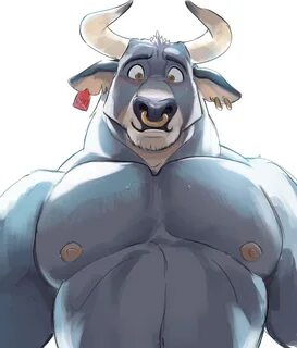 Furry bull