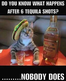 National Tequila Day Memes: Funny Images, Pic And Photos