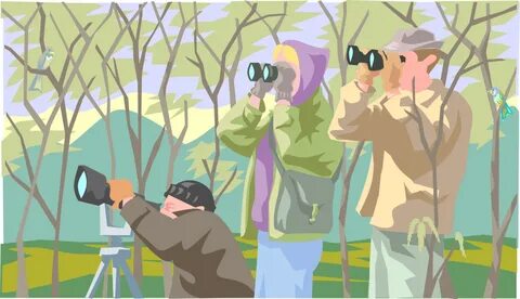 Birdwatching with Binoculars - Vector Image