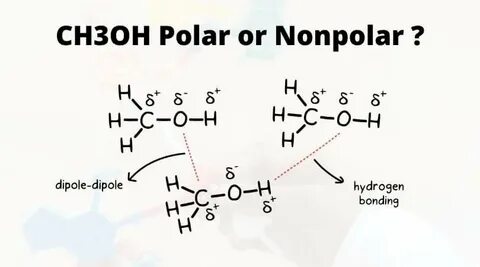 CH3OH Polar or Nonpolar: Methanol Polarity - Geometry of Mol