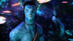 Avatar Picture Montage 2 Jake and Neytiri - YouTube