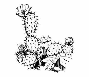 Free Cactus Clip Art Black And White, Download Free Cactus C