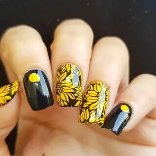 Regrann from @nofarneu - Sunflowers in yellow and black 🌻 @l