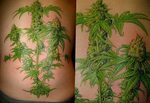 hemp leaf tattoo 30.09.2019 № 014 -hemp (MARIJUANA) tattoo- 