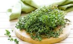 5 Medicinal Herbs You Need to Include in Your Diet - Sapphir