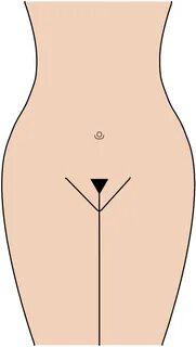 File:Pubic hairstyle triangle.svg - Wikimedia Commons