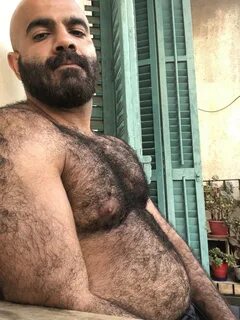 AMIR on Twitter: "One of the hairiest guys you see on internet 🐻 🦍 😈 🐽
