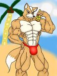 Colors Live - Fox McCloud At The Beach by Devious F