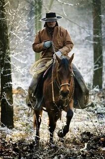 Sign in Cowboy pictures, Animals, Horses