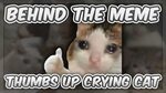 Why is Thumbs Up Cat Crying? Behind The Meme - YouTube