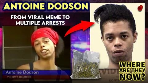 Antoine Dodson How Much Money Did He Make - coin.novostink.r