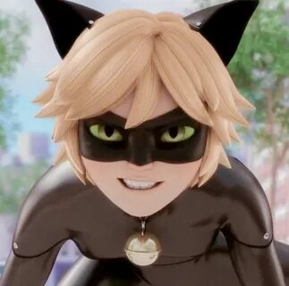 Chat Noir grr! Miraculous ladybug funny, Miraculous ladybug,