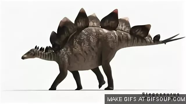Стегозавр гифки, анимированные GIF изображения стегозавр - с