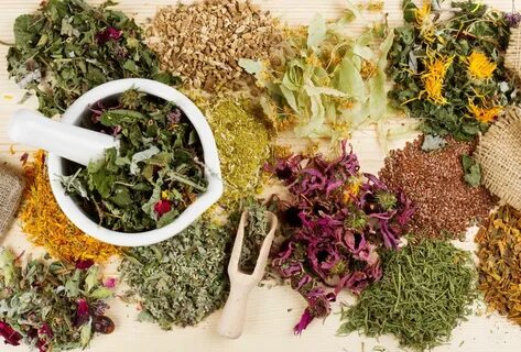 Самые лучшие цветочные и травяные чаи Healing herbs, Natural