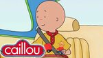 Caillou Theme Song! Caillou Universal Kids - YouTube