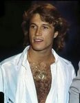 Just gorgeous! Andy gibb, Andy, Andy roy