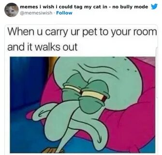 50 Hilarious Cat Memes That Show How Cats Make Life Better