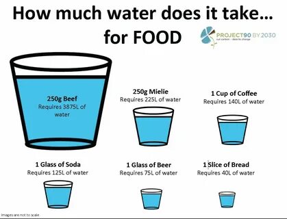 Coffee Cups, How I Lost Weight, Lose Weight, Water Water, Fresh Water, Fat ...