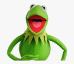 Kermit The Frog Laughing - Funniest Kermit The Frog, HD Png 