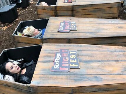 Bear man to spend 30 hours in a coffin for Six Flags contest