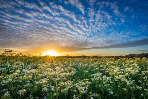 Download wallpaper clouds, sunset, meadow, Norway, Norway, R