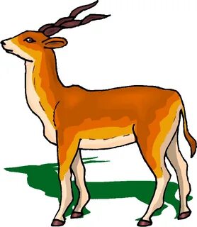 The best free Antelope clipart images. Download from 40 free