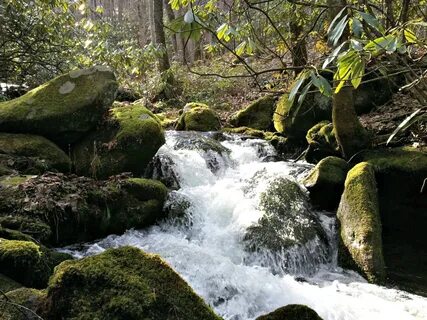 Smoky Mountains Water free image download