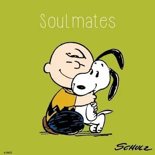 PEANUTS on Twitter Snoopy cartoon, Charlie brown and snoopy,