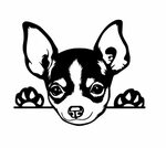 Chihuahua Peeking Car Decal Sticker Chihuahua Dog Sticker - 
