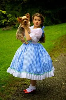 Dorothy Costume Judy Garland Wizard of Oz Inspired Dress Ets