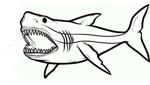 Shark coloring pages - Coloring4k.com