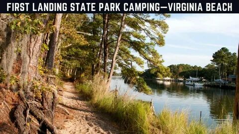 Top 10 Primitive Camping Locations Near Me to Easy Travel