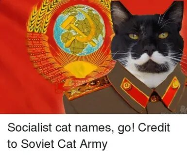 CoCz N ENYKI MEN MAga ViponEinFMM Socialist Cat Names Go! Cr
