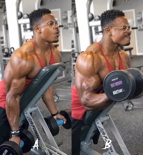 Build Bigger Biceps with Spider Curls Building Muscle Gym Ju