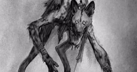What Are Skinwalkers? The Real Story Behind The Navajo Legen