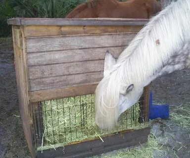 Paddock Paradise Photos - TricknClick Hay feeder for horses,