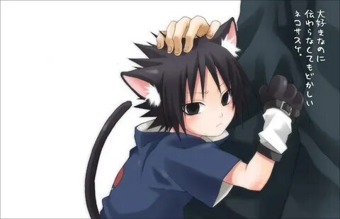 Neko Sasuke - Uchiha Sasuke Photo (39465853) - Fanpop - Page