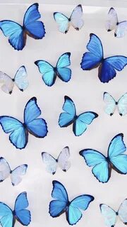 Butterfly Blue Aesthetic Artsy Ipad Wallpaper - My Cruise My