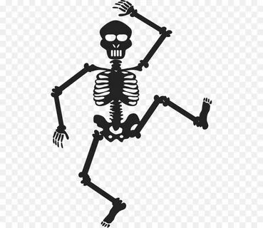 Skeleton Line png download - 551*779 - Free Transparent Skel