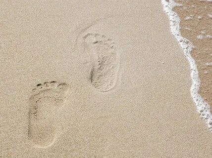 Free Images : sea, floor, footprint, feet, soil, material, t