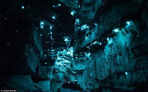 Alien glow-worm caves in New Zealand photos - Strange Sounds