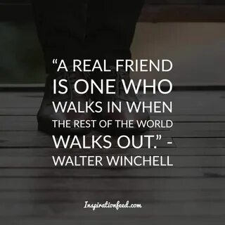 40 Friendship Quotes to Celebrate Your Friends Inspirationfe