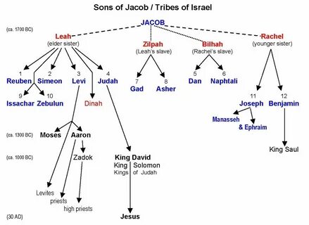 Family of Abraham Bible genealogy, Bible facts, Bible histor