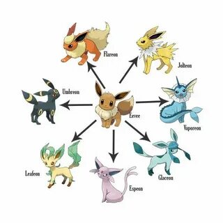 Pokemon Eevee Evolution Types Related Keywords & Suggestions