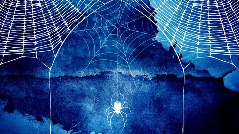 Spider Web Wallpaper Hd Wallpapers - Top Free Spider Web Wal